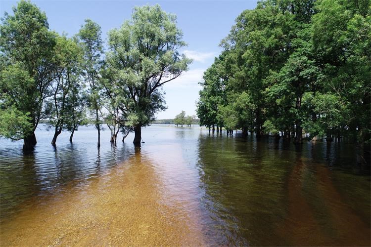 Slika /slike/Vijesti/2022/Park-Lonjsko-polje-Izvor web stranice PP Lonjsko polje.jpg